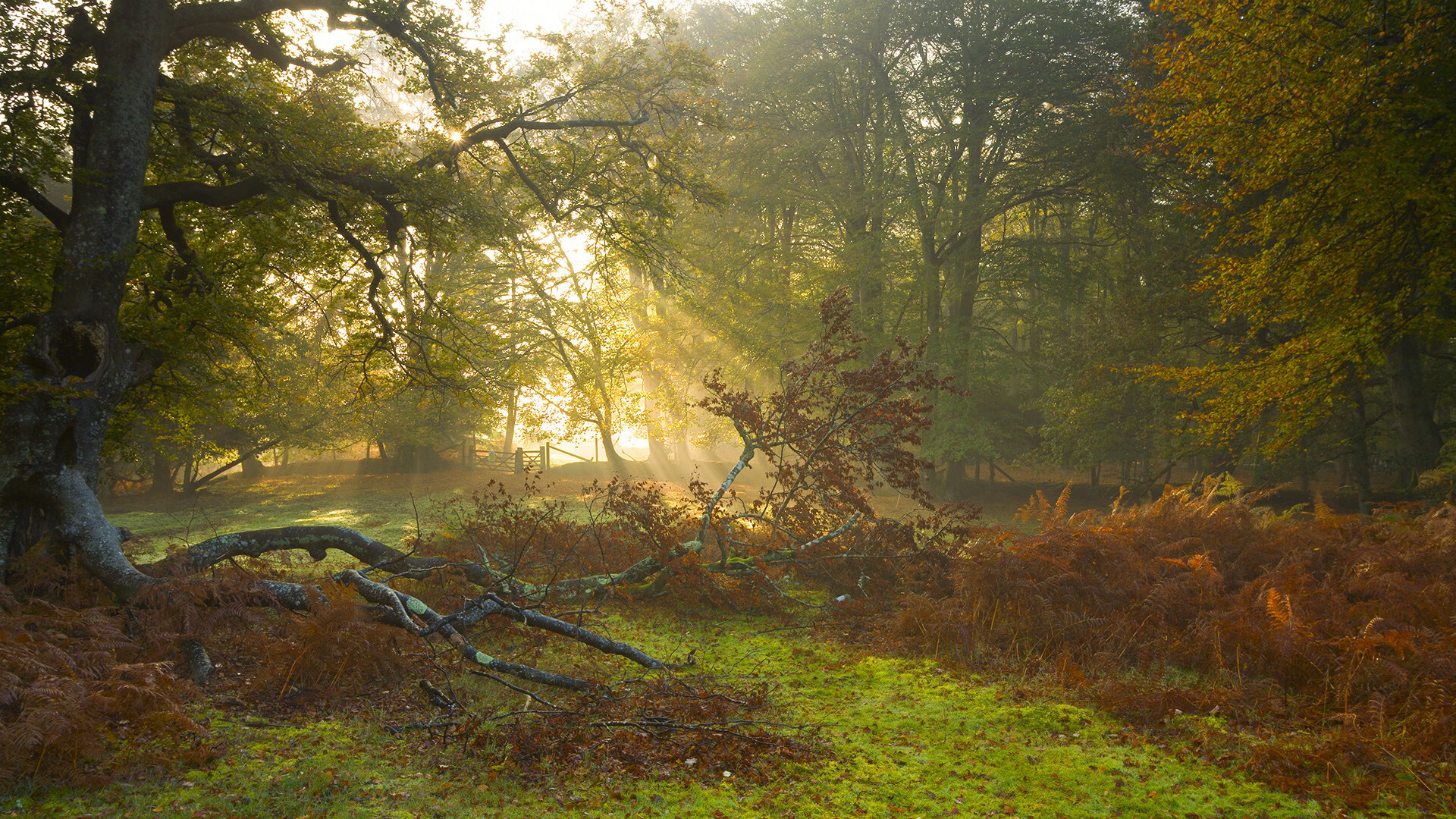 开云网页版-日本男足爆冷晋级！，日本男足近期比赛