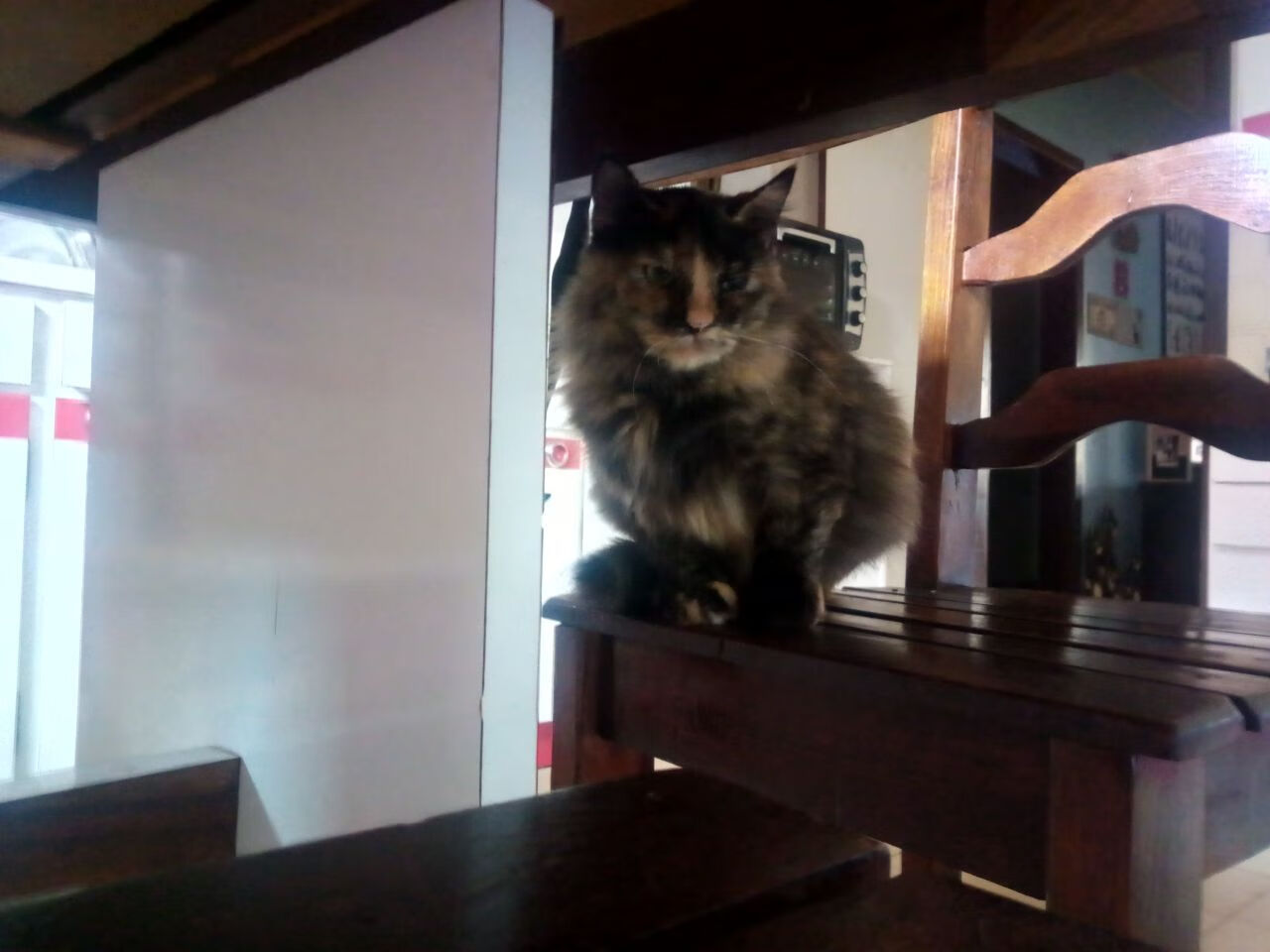 开云kaiyun-FaZe推出英雄联盟赛事观战节目，英雄联盟观战2021