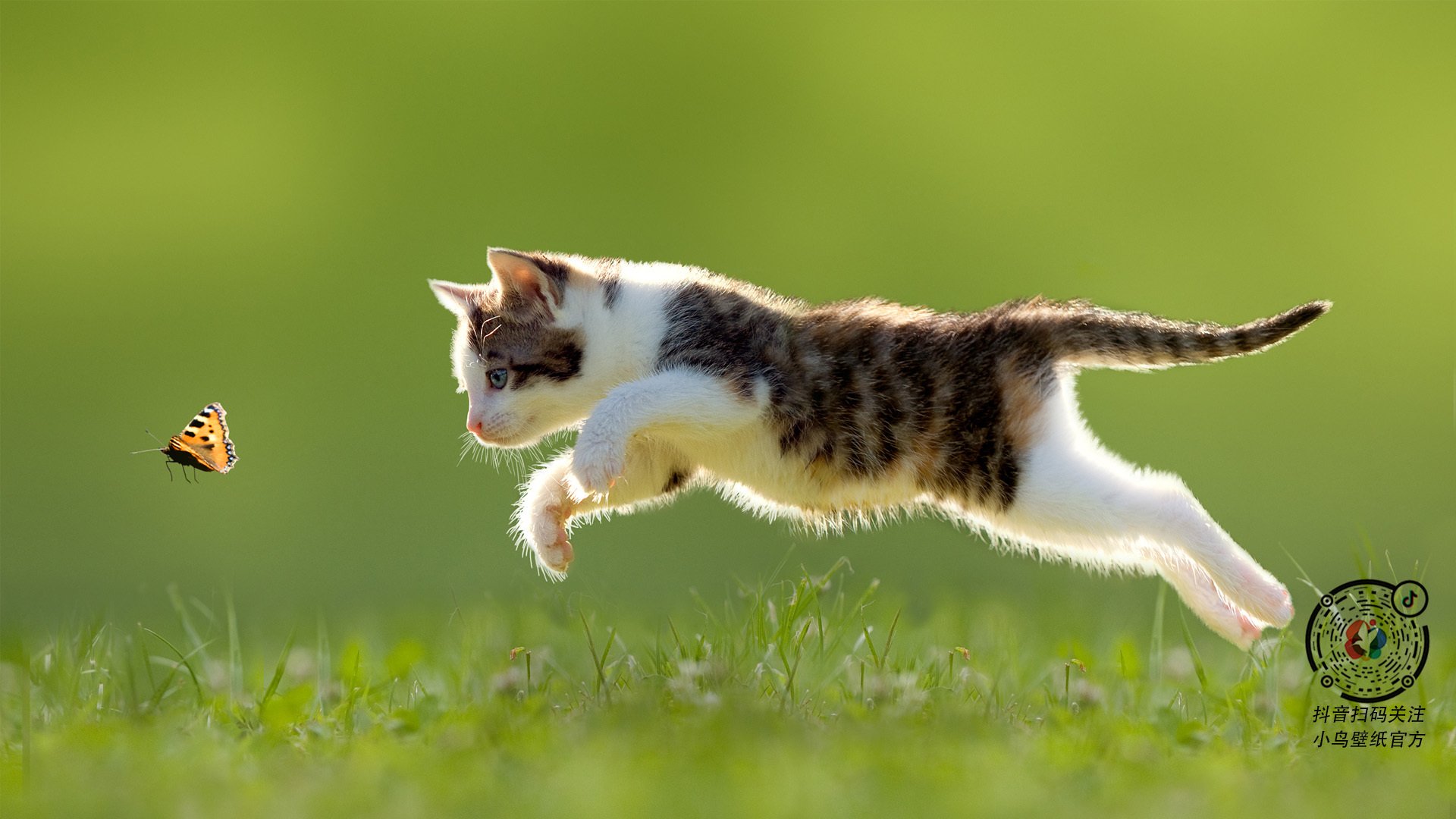 开云入口-争夺亚洲霸主，亚冠比赛强手如云，亚冠经典比赛