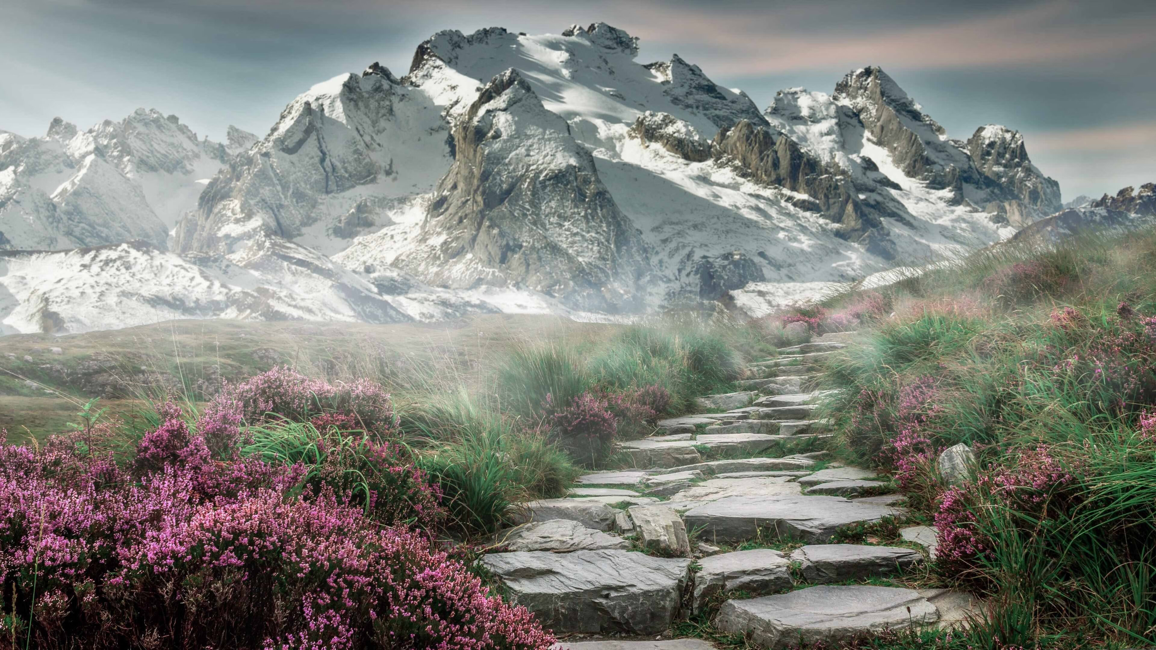 开云体育官方网入口-广东男篮大胜北京队，再次领跑积分榜，广东男篮和北京男篮谁赢了