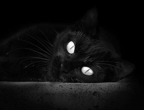 开云网页版-热火核心复出状态稳定再夺胜利，热火队伍