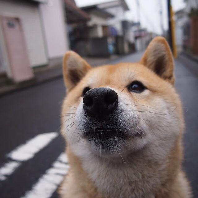 开云中国-中老年人运动社群建设与参与策略研究，中老年社群营销