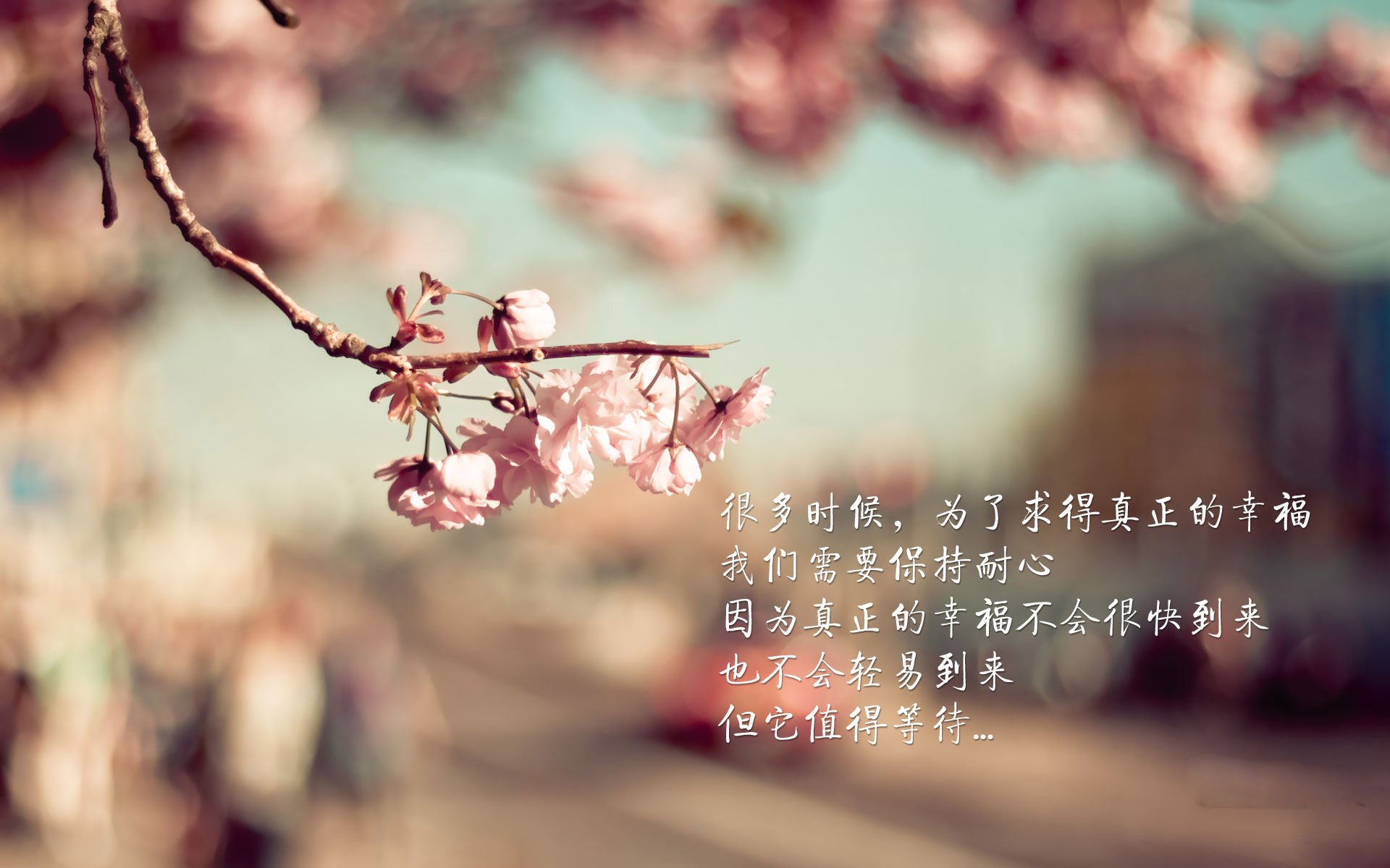 开云官网在线-CBA赛场纪律规范加强 球员行为更加职业化，cba规则手册