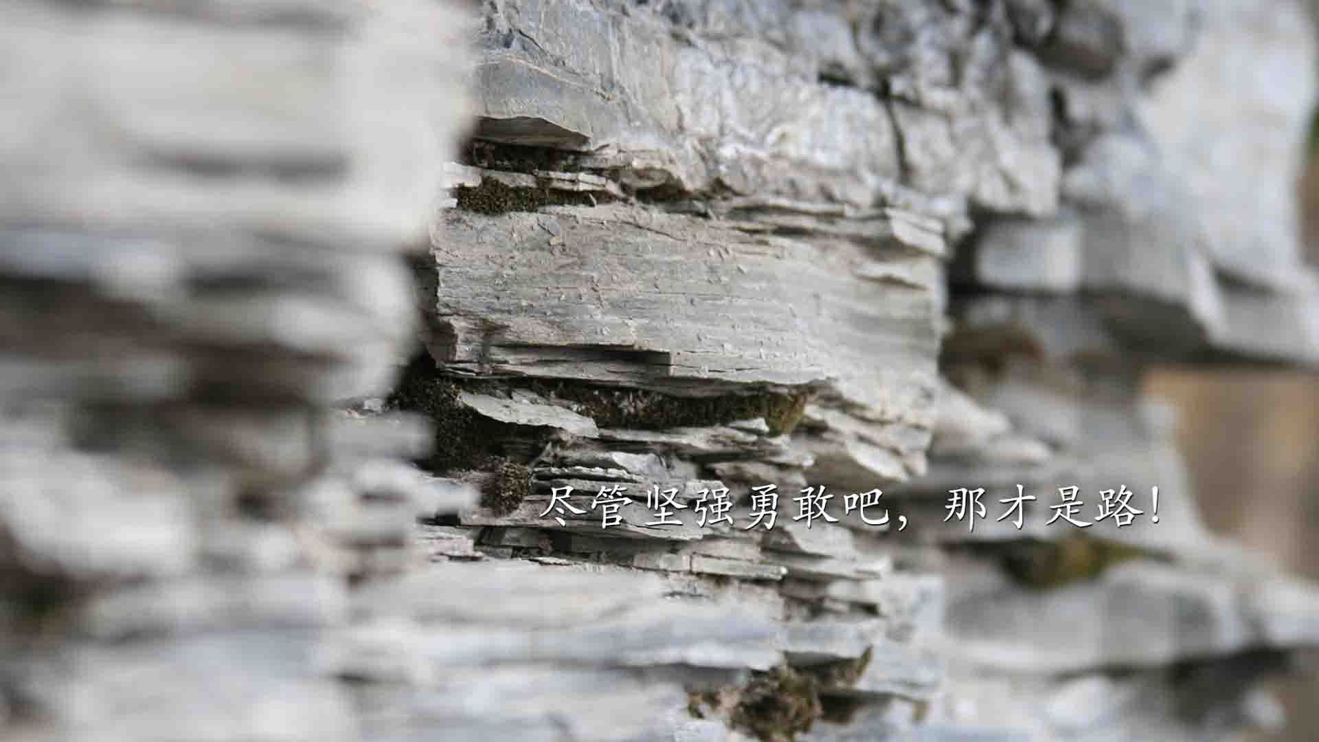 开云kaiyun-中国男篮在训练中加强压迫式防守练习，中国男篮防守好的球员