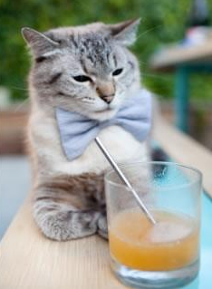 开云全站-国家队热身赛暴露诸多问题教练组亟需调整，国家队奥运热身赛