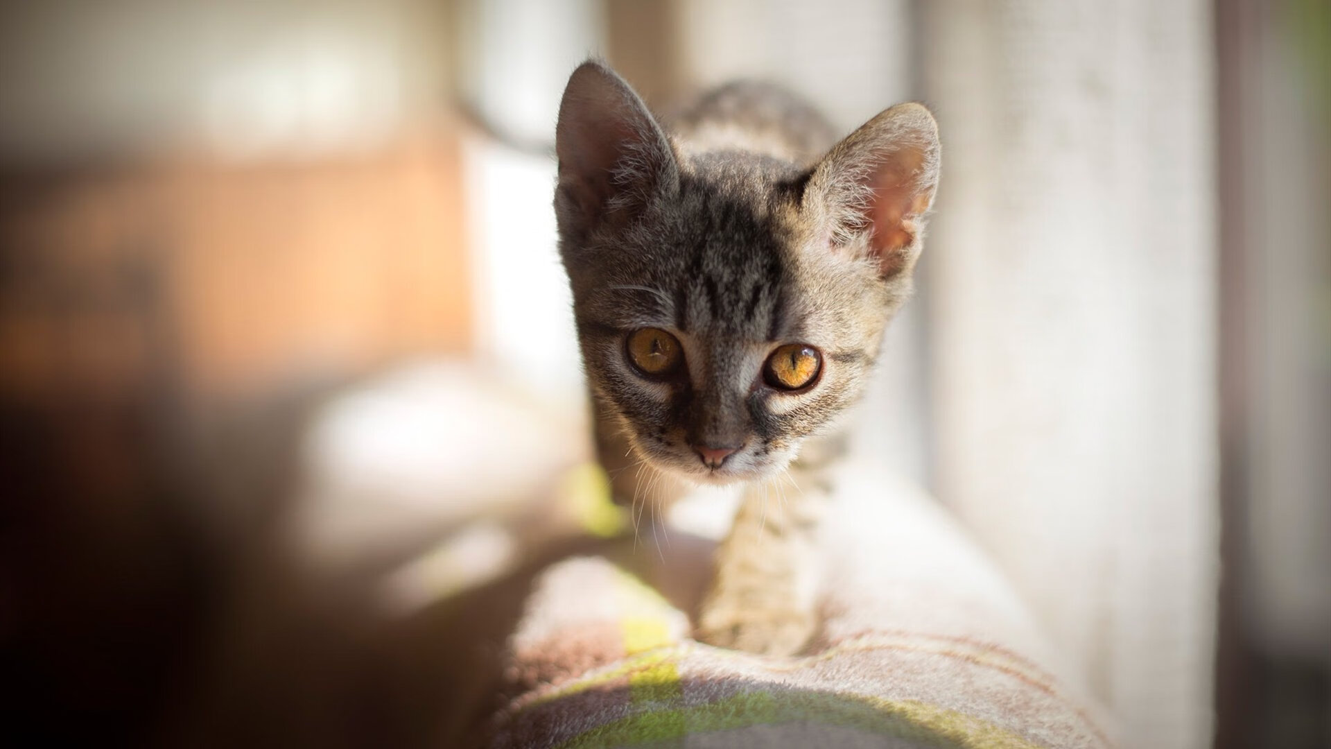 开云网页版-边后卫压上助攻次数是否与失球率成正相关，边后卫需要进攻吗