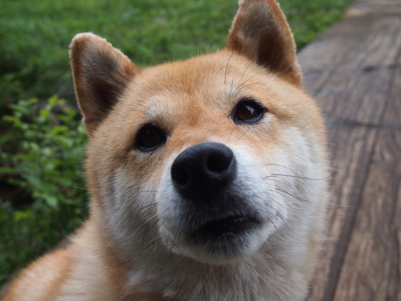 开云官方网页登录-赞比亚男篮在非洲预赛中冲刺，期待奥运新突破，赞比亚男子足球国家队